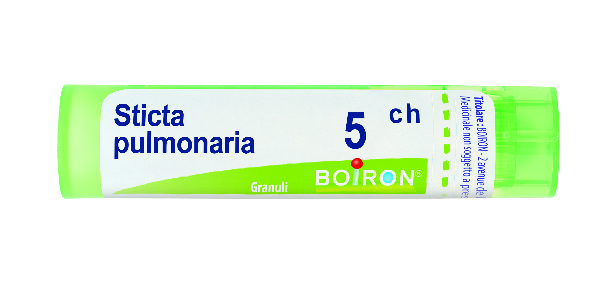STICTA PULMONARIA*5CH 80GR 4G - Gruppofarmastore.it
