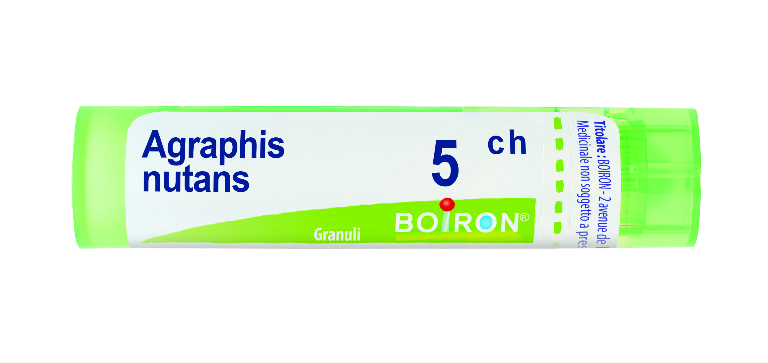 AGRAPHIS NUT BOI*5CH GR 4G - Gruppofarmastore.it