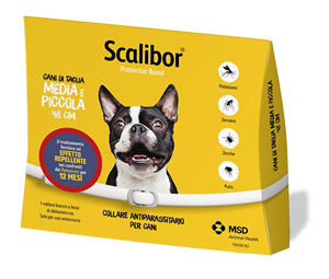 SCALIBOR PROTECTOR BAND*BI48CM - Gruppofarmastore.it