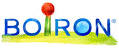 KREOSOTUM 30CH GRANULI - Gruppofarmastore.it