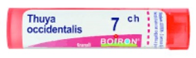THUYA OCCIDENT 7CH GLOBULI - Gruppofarmastore.it
