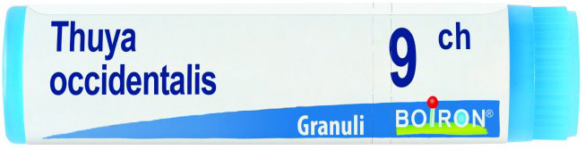 THUYA OCCIDENTALIS 9 CH GLOBULI - Gruppofarmastore.it