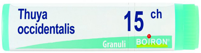 THUYA OCCIDENTALIS 15 CH GLOBULI - Gruppofarmastore.it