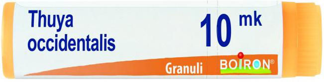 THUYA OCCIDENTALIS XMK GLOBULI - Gruppofarmastore.it