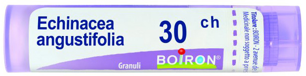 ECHINACEA ANGUSTIFOLIA 30 CH GRANULI - Gruppofarmastore.it