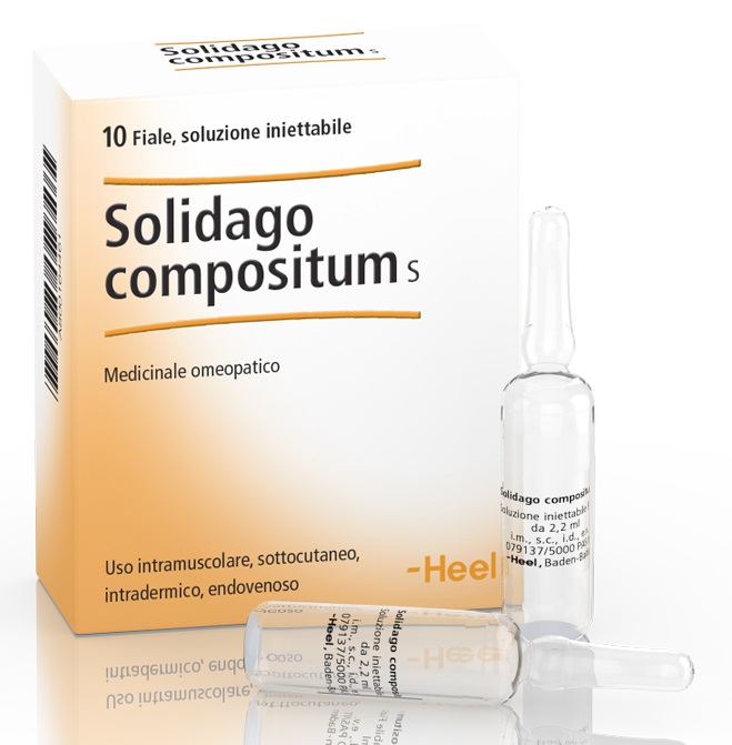 HEEL SOLIDAGO COMPOSITUM 10 FIALE DA 2,2 ML L'UNA - Gruppofarmastore.it