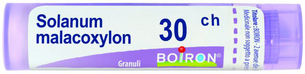 SOLANUM MALACOXYLON 30CH GRANULI - Gruppofarmastore.it