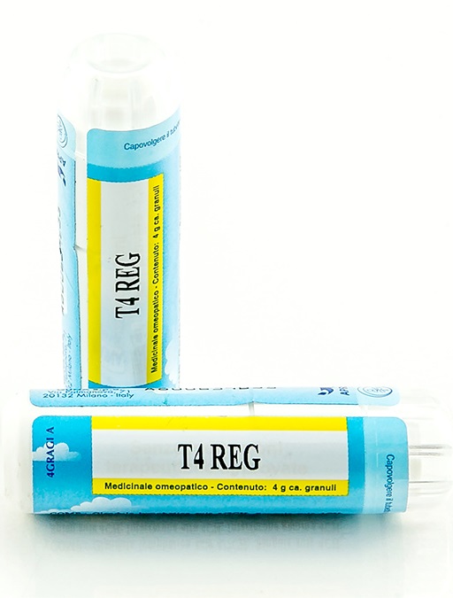 T4 REG GRANULI 4G - Gruppofarmastore.it
