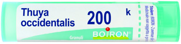 THUYA OCCIDENT 200K GRANULI - Gruppofarmastore.it