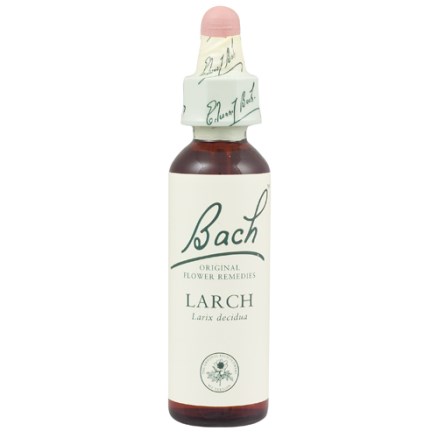 LARCH BACH ORIGINAL 10 ML - Gruppofarmastore.it