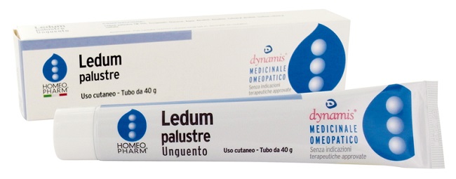 LEDUM PALUSTRE HOMEOPHARM UNGUENTO 40 G - Gruppofarmastore.it
