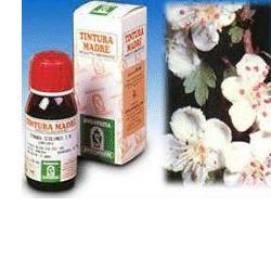 BIANCOSPINO 10 50ML TM - Gruppofarmastore.it