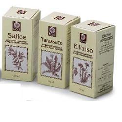 OLIO GERME GRANO 100 ML 501 - Gruppofarmastore.it