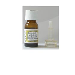 SIDEA C INTEGRALE VITAMINA C 10 ML - Gruppofarmastore.it