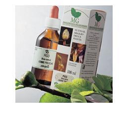 FRASSINO 100ML MG - Gruppofarmastore.it