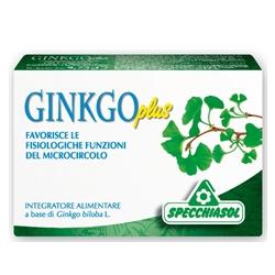 GINKGO PLUS 30 CAPSULE - Gruppofarmastore.it