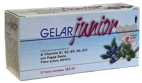 GELARJUNIOR 12 FLACONI MONODOSE 10 ML - Gruppofarmastore.it