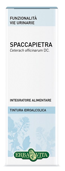 SPACCAPIETRA TINTURA IDROALCOLICA 50 ML EBV - Gruppofarmastore.it