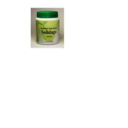 SOLIDAGO 60 CAPSULE - Gruppofarmastore.it