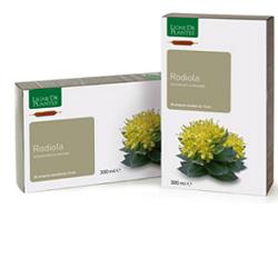 RODIOLA BIOLOGICO 20 AMPOLLE BEVIBILI DA 15 ML - Gruppofarmastore.it
