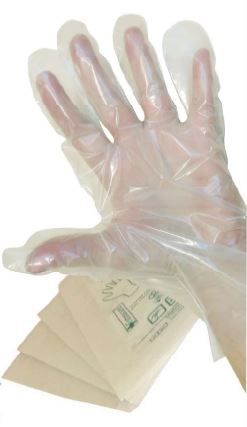 GUANTO IN POLIETILENE NON STERILE MISURA MEDIA. AMBIDESTRI, OMOGENEI, TRASPARENTI E PRIVI DI POLVERE LUBRIFICANTE. INDICATI PER USO OSTETRICO, GINECOLOGICO E UROLOGICO - Gruppofarmastore.it
