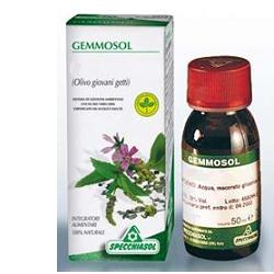 GEMMOSOL 36 RIBES NERO 50ML - Gruppofarmastore.it