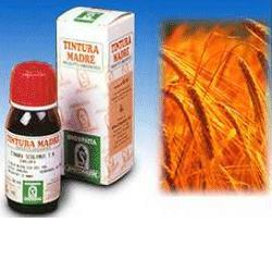 AVENA SATIVA 3 50ML TM - Gruppofarmastore.it