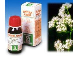 VALERIANA 36 TINTURA MADRE 50 ML - Gruppofarmastore.it