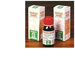 ERISIMO 61 50ML TM - Gruppofarmastore.it