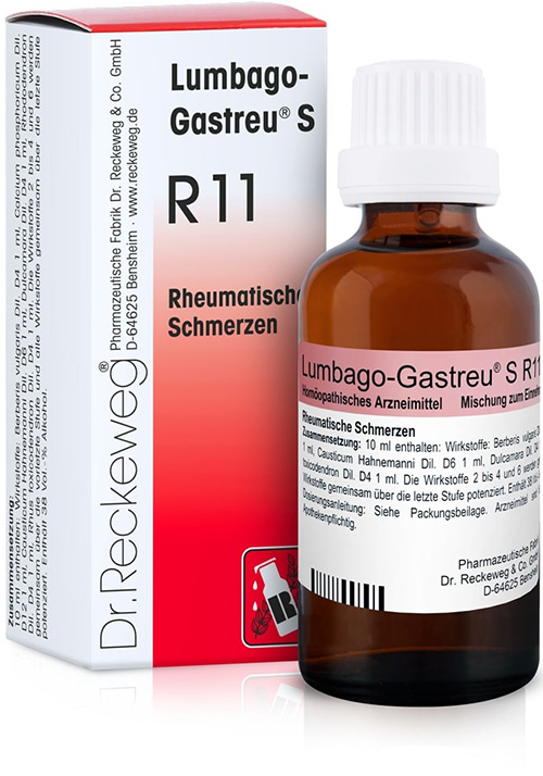 RECKEWEG R11 GOCCE 22 ML - Gruppofarmastore.it