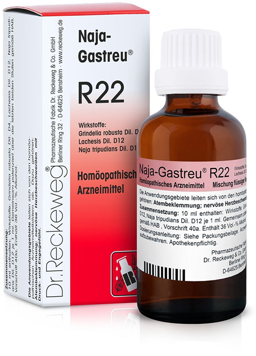 RECKEWEG R22 GOCCE 22 ML - Gruppofarmastore.it