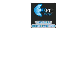 BORSA PASTIGLIEORE ESTRATTO FLUIDO 30 ML - Gruppofarmastore.it