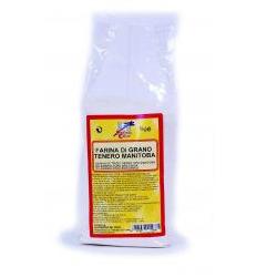 FARINA DI GRANO TENERO MANITOBA BIO 1000 G - Gruppofarmastore.it