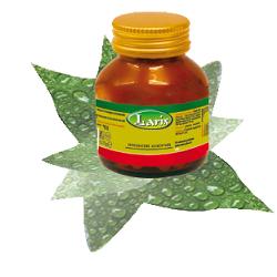 CARTILAGINE DI SQUALO 60 CAPSULE - Gruppofarmastore.it
