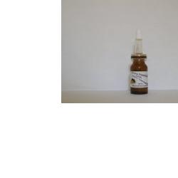 SIDEA STAMINALI UVA SIERO CONCENTRATO 10 ML - Gruppofarmastore.it