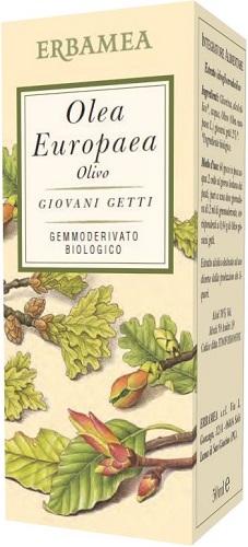 OLEA EUROPEA OLIVO BIO 50 ML - Gruppofarmastore.it