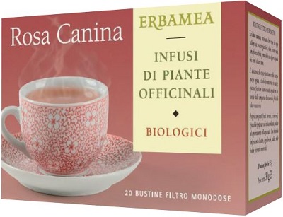 ROSA CANINA BUSTINE FILTRO - Gruppofarmastore.it