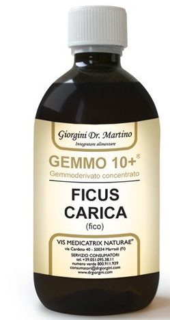 GEMMO 10+ FICO LIQUIDO ANALCOLICO 500 ML - Gruppofarmastore.it