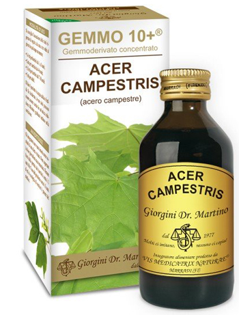 GEMMO 10+ ACERO CAMPESTRE 100 ML LIQUIDO ANALCOLICO - Gruppofarmastore.it