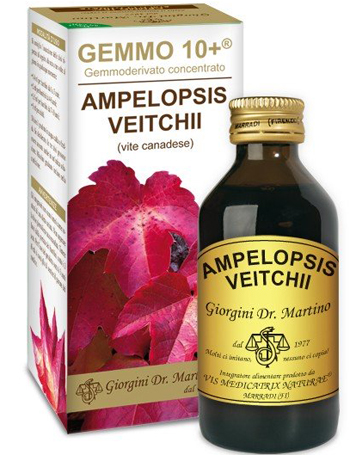 VITE CANADESE 100 ML LIQUIDO ANALCOLICO GEMMO +10 - Gruppofarmastore.it