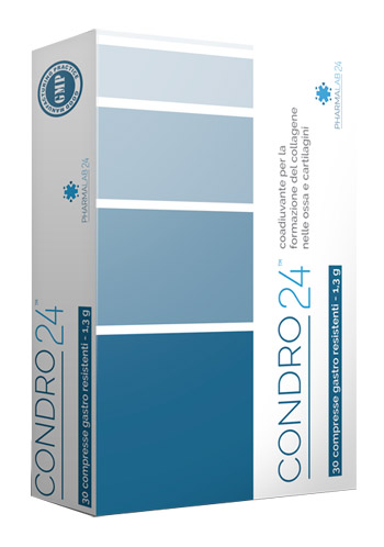 CONDRO24 30 COMPRESSE - Gruppofarmastore.it