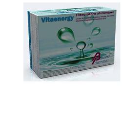 VITAENERGY 20 BUSTINE - Gruppofarmastore.it