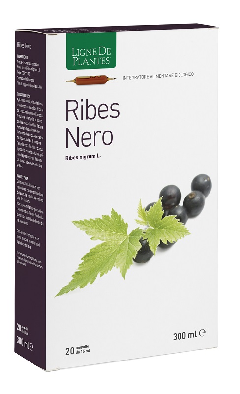 RIBES NERO BIOLOGICO 20 AMPOLLE BEVIBILI DA 15 ML - Gruppofarmastore.it