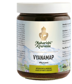 VYANAMAP PASTA 600 G - Gruppofarmastore.it