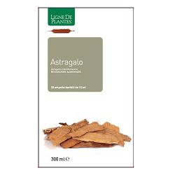 ASTRAGALO 20 AMPOLLE BEVIBILI DA 15 ML - Gruppofarmastore.it