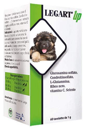 LEGART UP 60 COMPRESSE DA 1 G - Gruppofarmastore.it