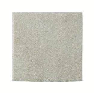 MEDICAZIONE BIATAIN ALGINATE AG ALGINATO CON ARGENTO 10X10CM 10 PEZZI - Gruppofarmastore.it