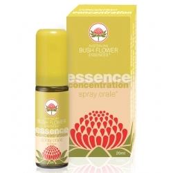 CONCENTRATION SPRAY ORALE 20 ML - Gruppofarmastore.it