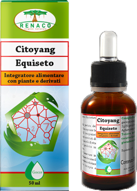 CITOYANG EQUISETO GOCCE 50 ML - Gruppofarmastore.it