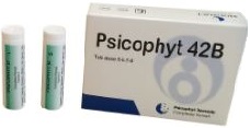 PSICOPHYT REMEDY 42B 4 TUBI 1,2G - Gruppofarmastore.it